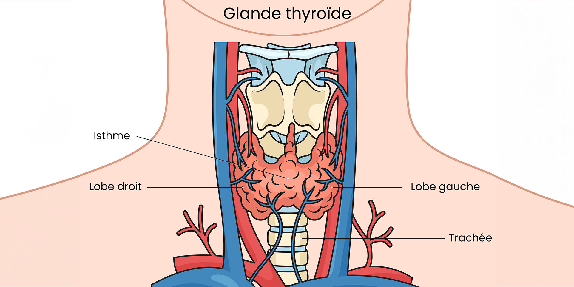 AdobeStock_702750260 [Converted]